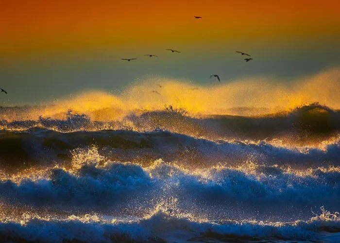 公寓 Lotus Nr 9 Sea View *