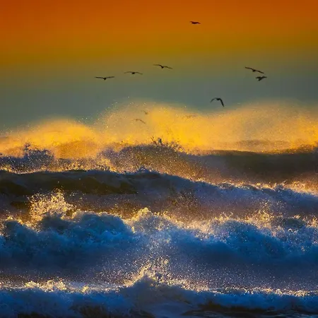 Appartamento Lotus Nr 9 Sea View *